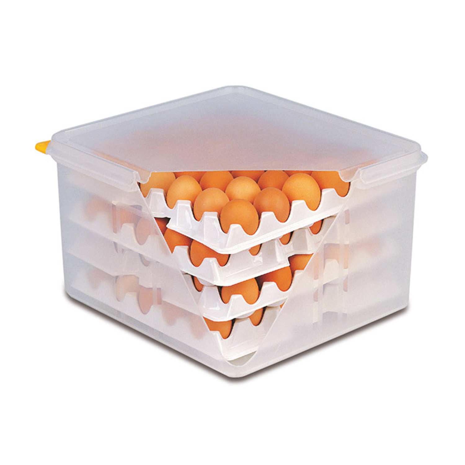 4 Lagen zu Eier-Box je 28 x 28 cm Polystyrol